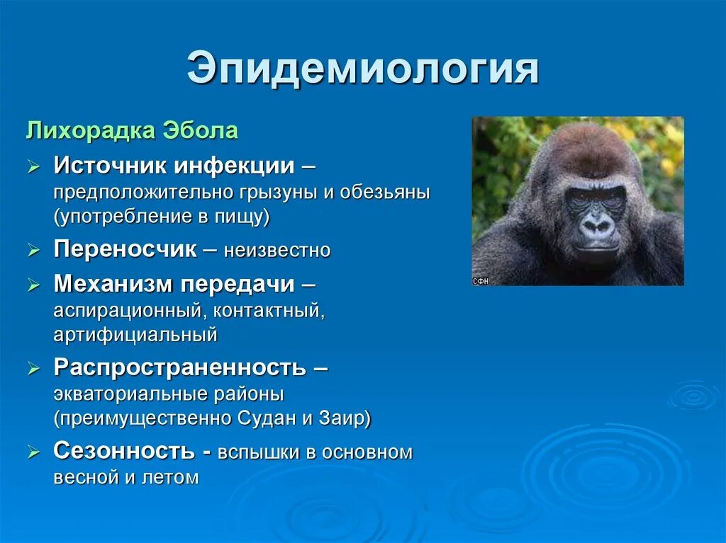 Инфекции лихорадка лихорадка. Лихорадка источник инфекции. лихорадка эбола эпидемиология. лихорадка эбола механизм передачи.