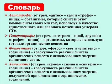 Автотрофное питание клетки