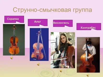 Альт виолончель контрабас