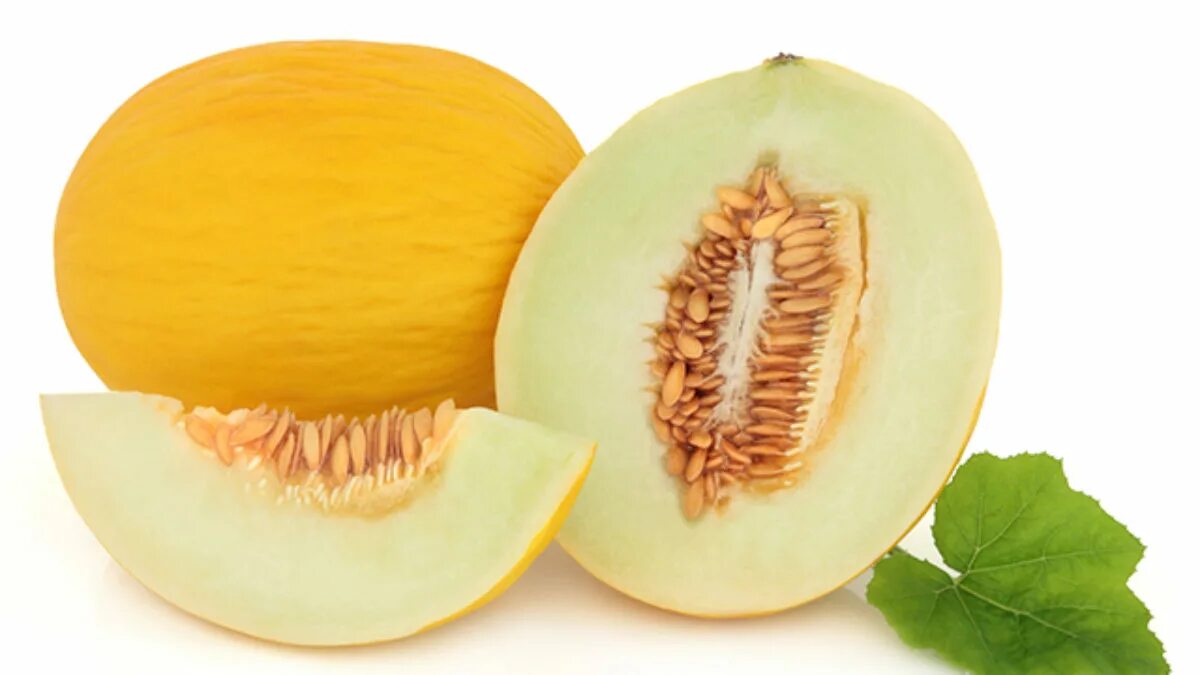 Ава дыня. Спелая дыня. картинки на букву дыня вначале на белом. honeydew перевод. honeydew dalia купить.