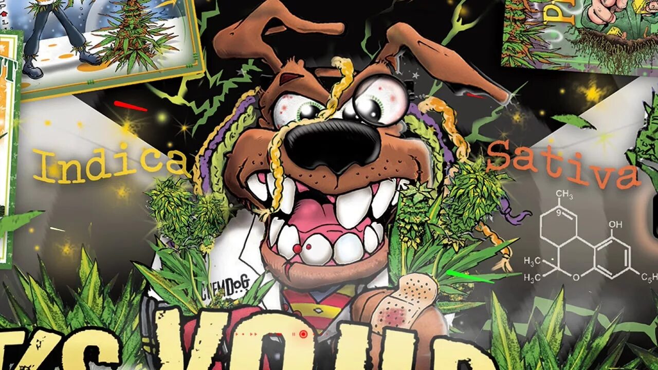 Jungle надпись. Jungle dnb. Логотип джунгли одежда. Джунгли логотип. Джангл рэп.