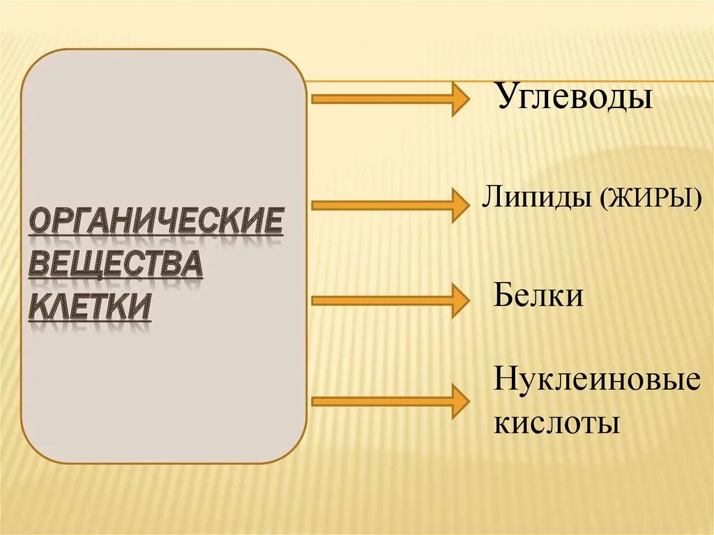 Органические вещества клетки функции и примеры Презентация органические вещества клетки