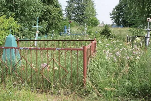 Лучшее средство от травы на кладбище навсегда. Заросшая могила. заросшая могила на кладбище. трава на кладбище. сорняки на могиле.