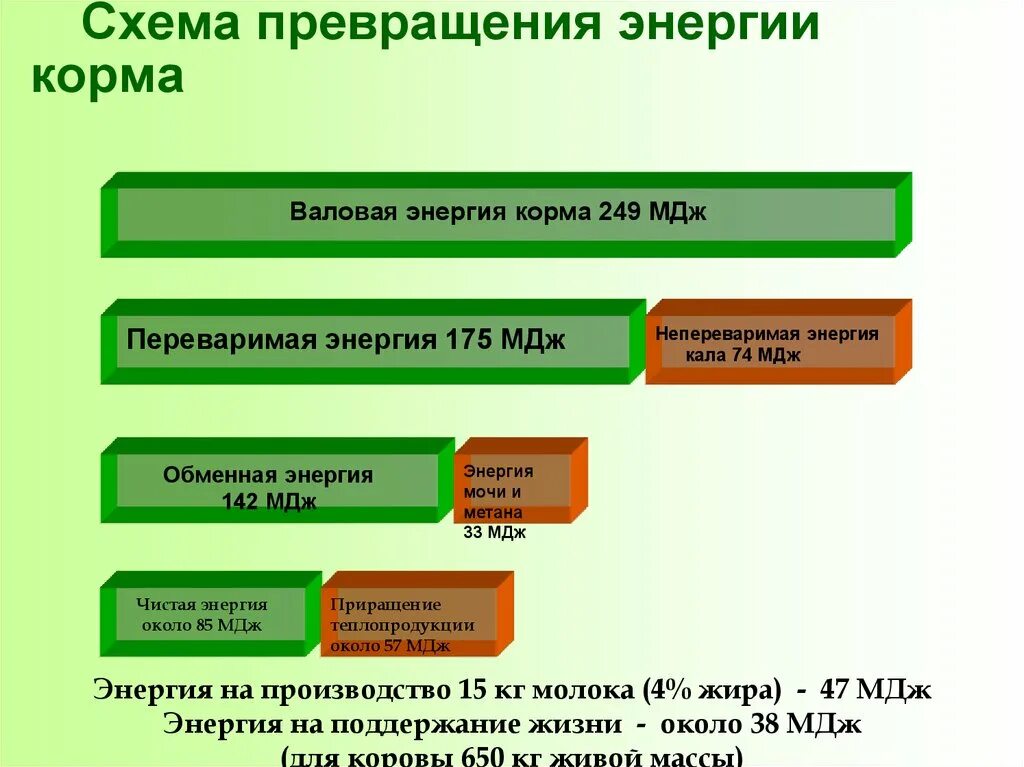 Виды превращения энергии. Передача электроэнергии тэс. Схема преобразования энергии на тепловых станциях. Схема превращения энергии. Превращение механической энергии.