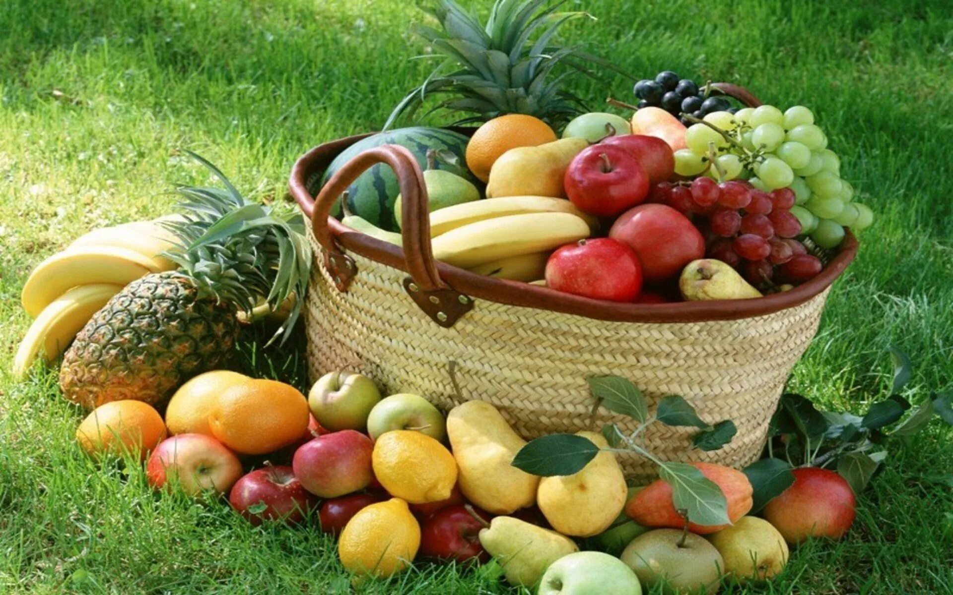 Самые богатые овощи. Корзина с овощами. Корзинка с овощами и фруктами. Корзина с фруктами в саду. Изобилие фруктов и овощей.