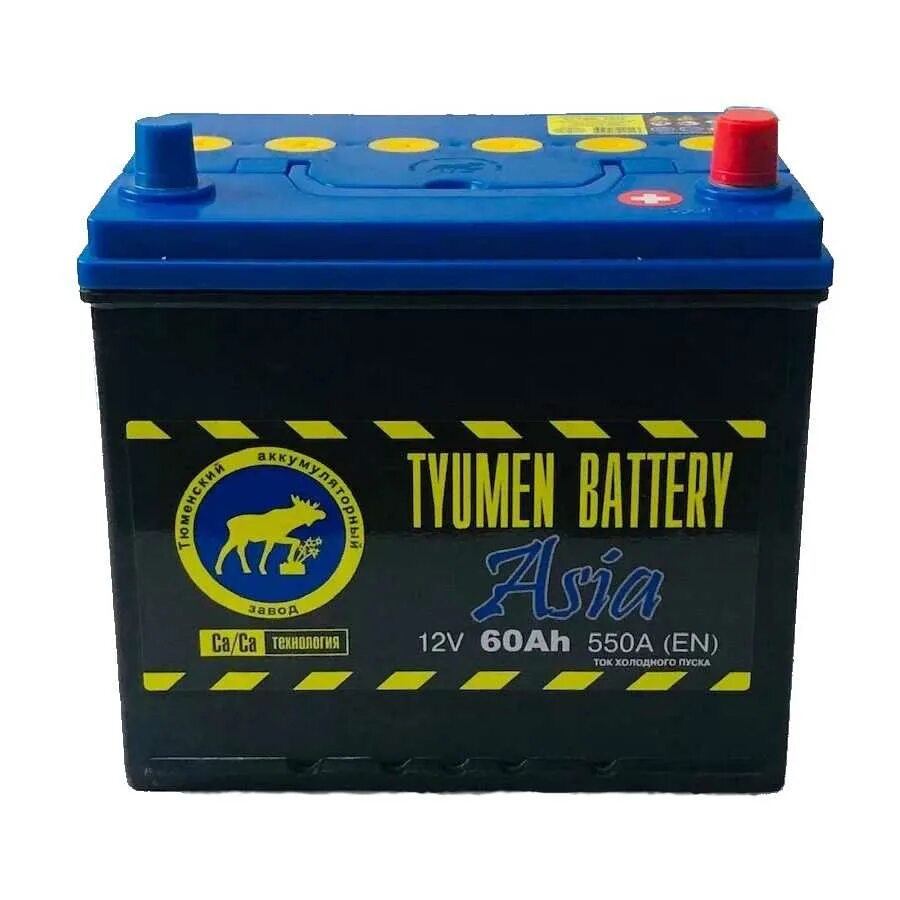 Аккумуляторы tyumen asia. Tyumen Battery 6ст-40l Asia l+ в19. Аккумулятор Tyumen Battery 60ah. АКБ 6ct -60l. Tyumen Battery аккумулятор 6ст 40 (зал.)евр. Tyumen Battery Asia.