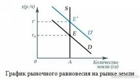 Абсолютно 1