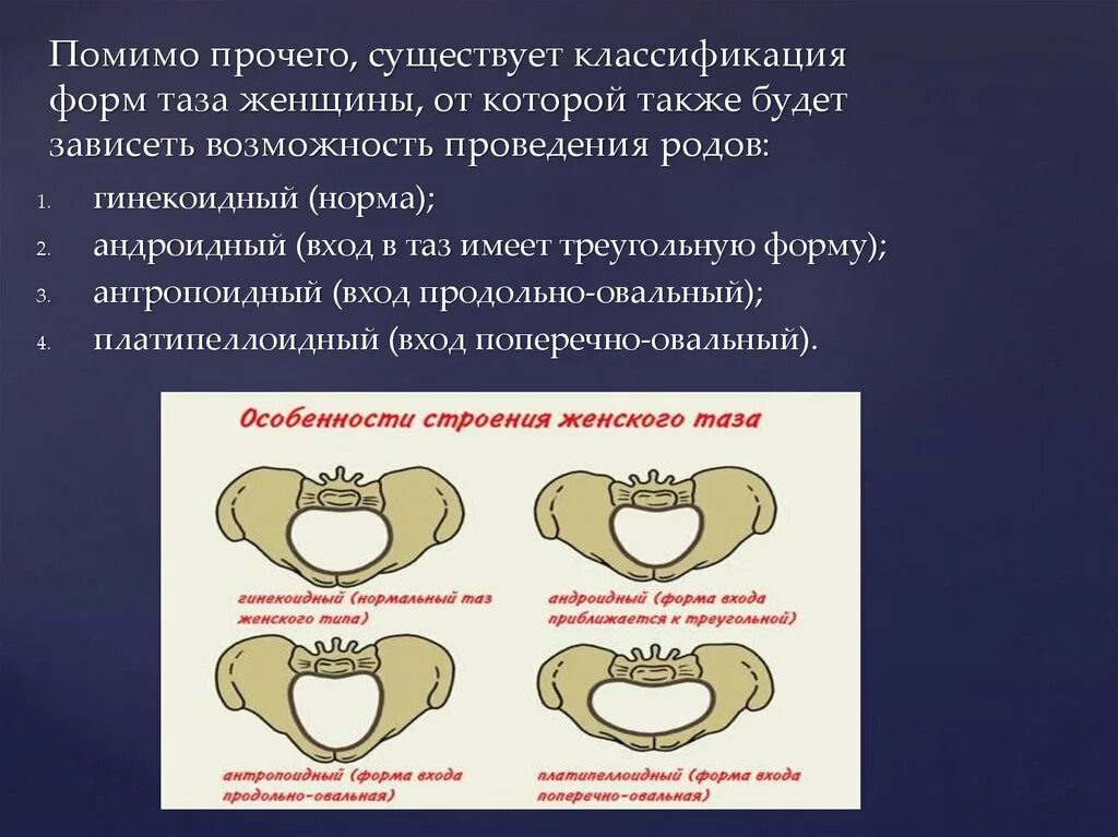 Изменение таза в ходе эволюции. Формы таза. Типы строения таза. Аномальные формы таза. Формы женского таза.