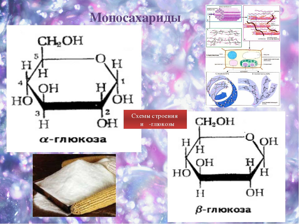 Целлюлоза вода глюкоза. Структурные формулы моносахаридов. Структура моносахаридов. Номенклатура моносахаридов. Структура моносахаридов биохимия.