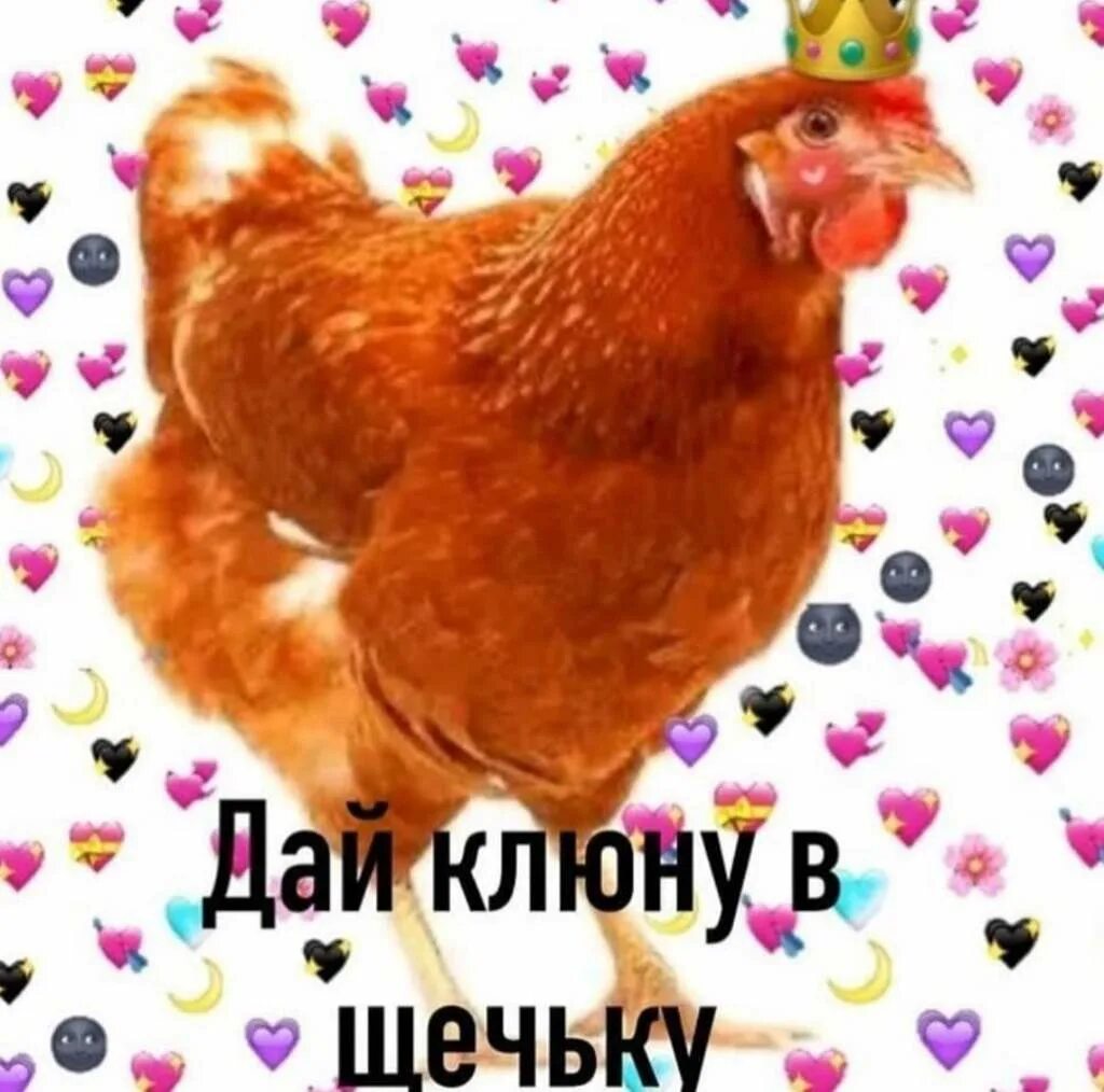 Очень люблю курицу