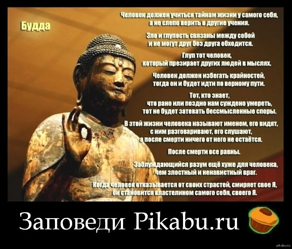 Жизнь во лжи рассказ на дзен. Буддизм цитаты. Изречения Будды. Мудрые высказывания Будды. Будда цитаты.