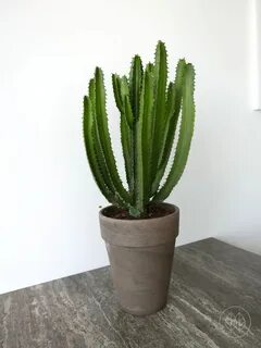 Green touch
