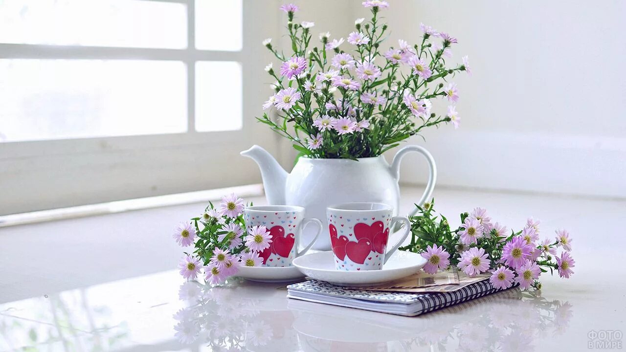 Утренние цветы. Цветы в чашке. Нежные весенние цветы. Весенние цветы в чашке.