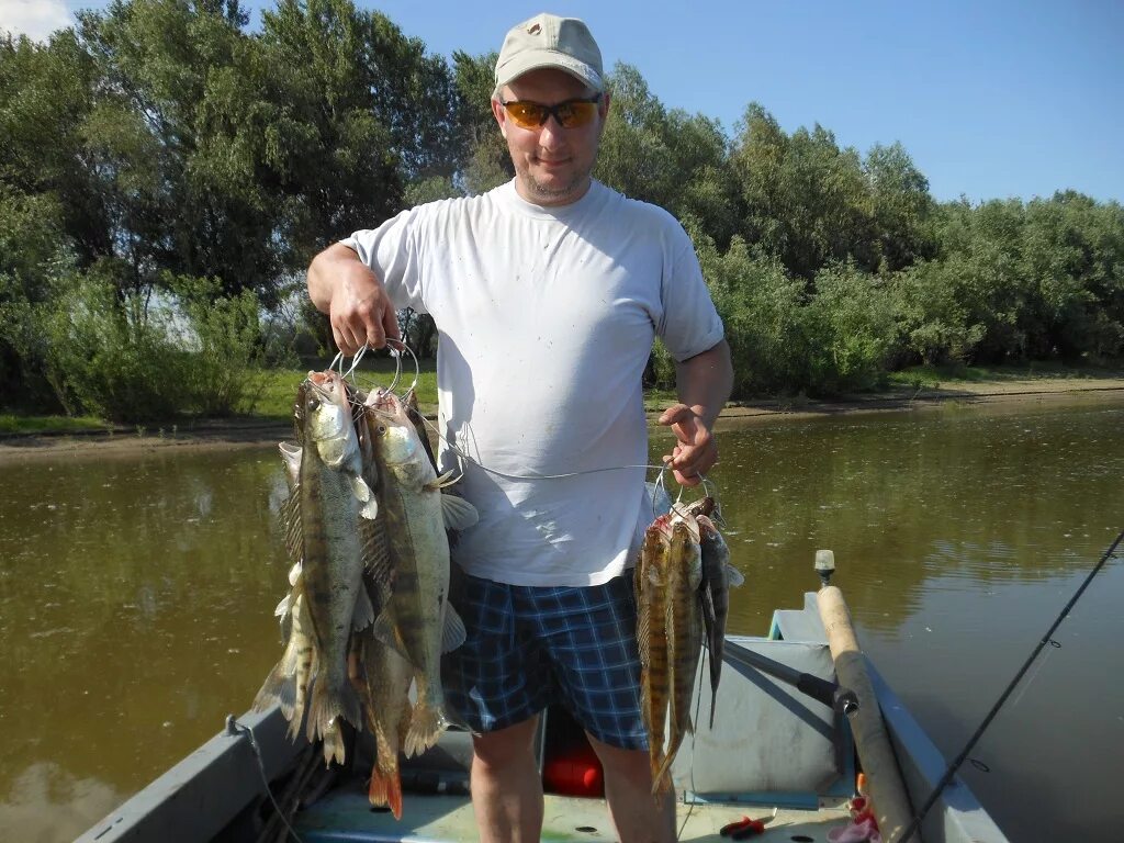 рыбалка на волге летом. сибирский судак. рыбалка в харабалях 2021. рыбалка на волге летом. рыбалка на волге летом.