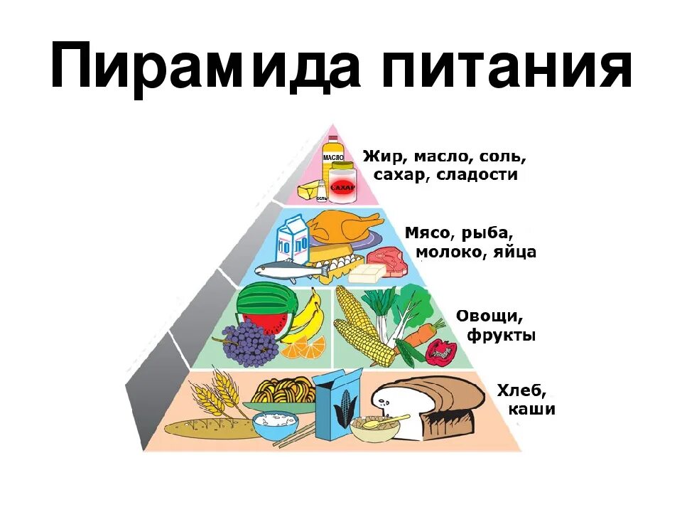 рациональное питание. рекомендации по здоровому питанию. пирамида пищевых веществ. пирамида правильного питания. рациональное питание 2 класс окружающий мир.