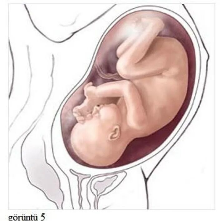 Беременность 40 недель 1 роды
