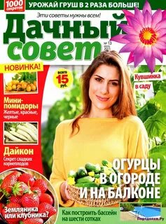 Дачные дневники 2024