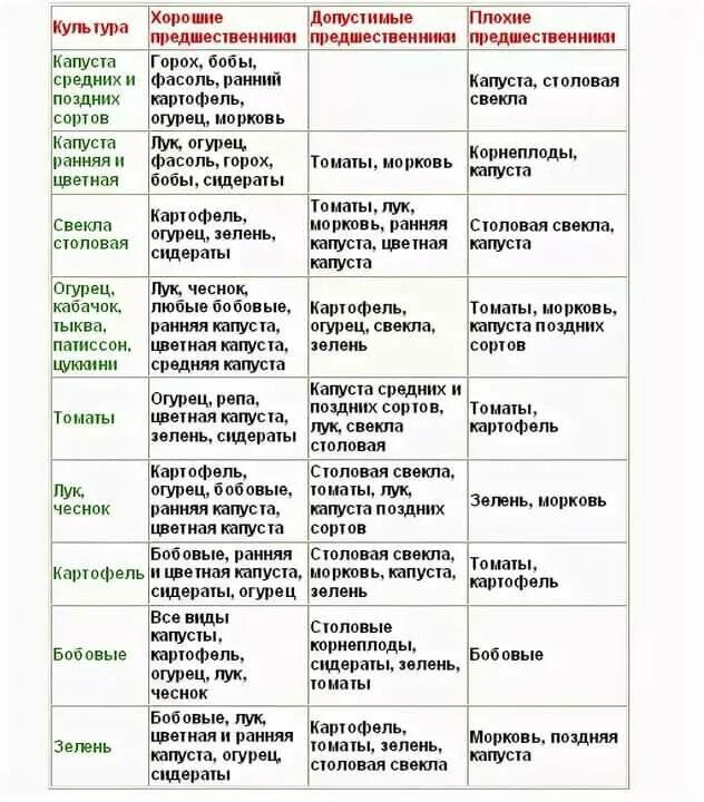 Какие культуры можно сажать после огурцов. Таблица предшественников в севообороте. Таблица чередования посевов овощей в огороде. Чередование посадок овощных культур таблица. Севооборот на грядках таблица.