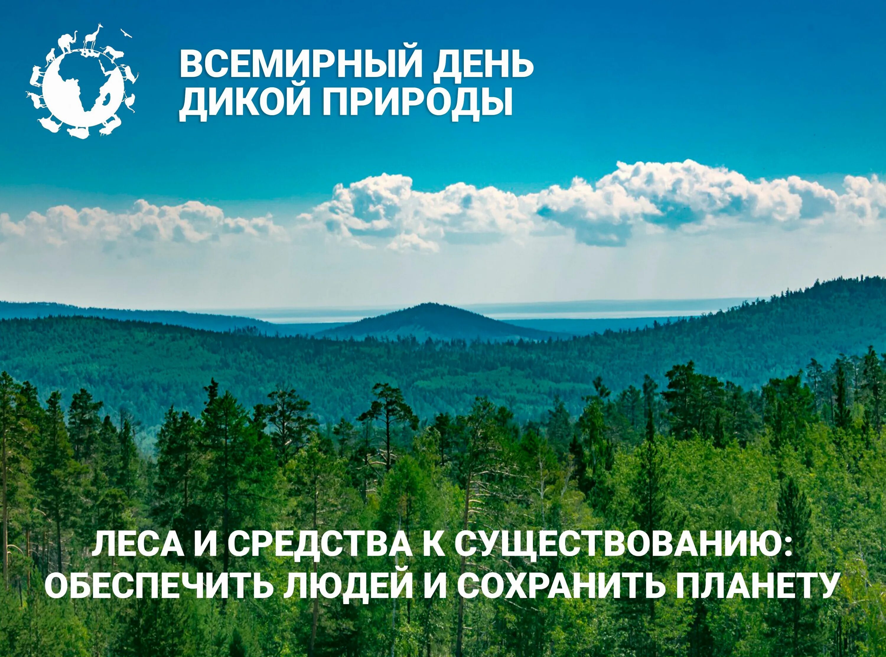 Программа дикой природы. Всемирный день дикой природы. Всемирныднь дикой природы.