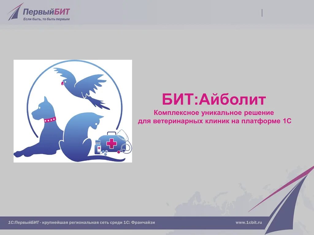 1 bit программа. Бит айболит. бит айболит программа. программа айболит для ветеринарных клиник. 1 бит это.