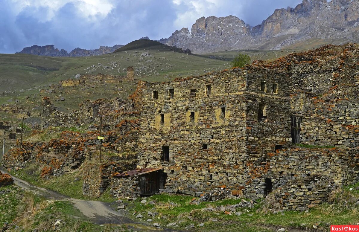 камунта и галиат. камунта и галиат. галиат дигория. галиат осетия. галиат северная осетия.
