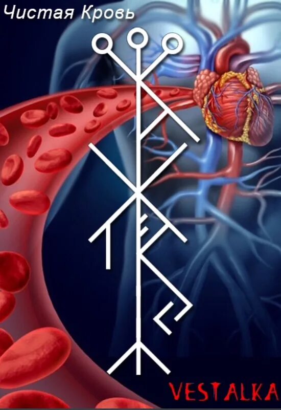 Рунический став чистая кровь. Руна крови. Став рунический для очистки крови. Руна чистота крови.