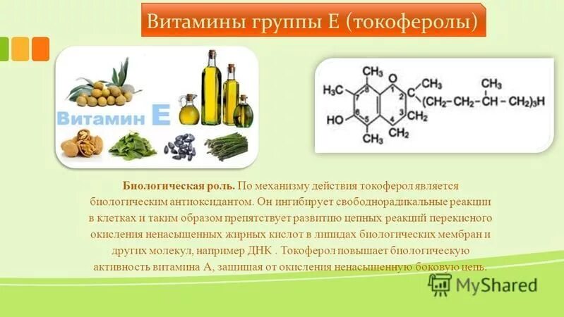 Витамин е токоферол механизм действия. Витамины а + е. Токоферол механизм действия. Механизм действия витамина е. Качественные реакции на витамины