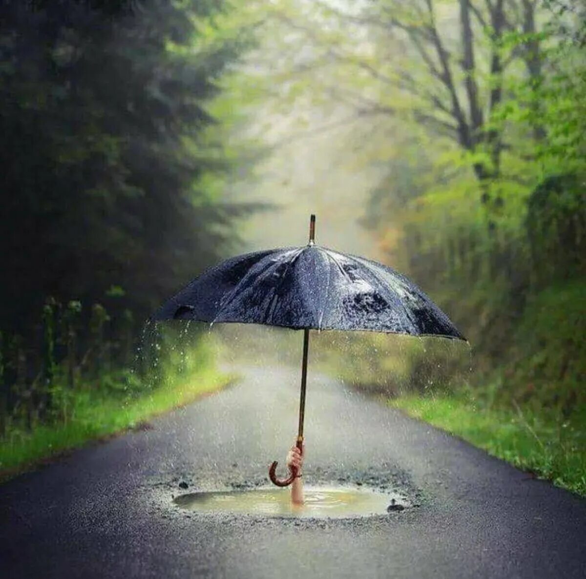 Доброе утро в дождливую погоду. Мокрый зонт. Зонтик на асфальте. Дождь креатив. Зонтик на мокром асфальте.