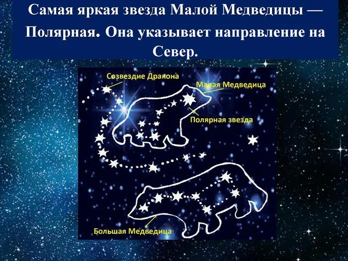 Какая звезда указывает направление. Самая большая звезда созвездия малая медведица. полярная звезда, самая яркая звезда, созвездие малая медведица. самая яркая звезда в созвездии малой медведицы. .полярная звезда малая медведица и полярная.