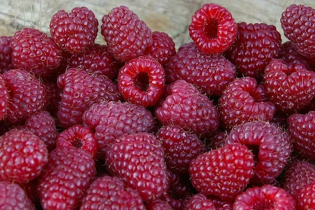 Какая малина самая сладкая