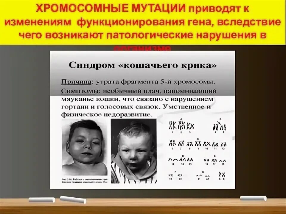 Потеря хромосом. Хромосомные мутации. хромосомные мутации примеры. примеры хромосомных мутпции.