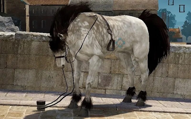 Лошадь говорит почему. Лошадь резко остановилась. Оплодотворение лошадей. Лошадь в мыле. Скрещивание лошадей.