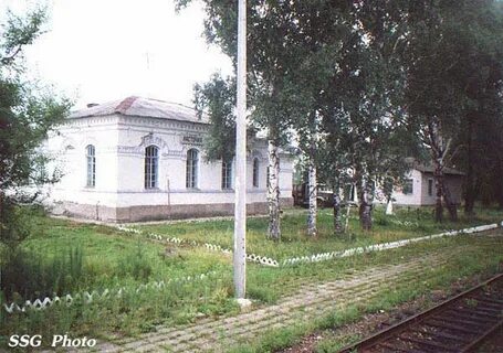Погода приморский губерово пожарский