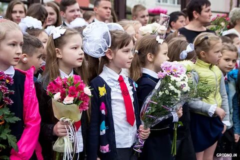 Районные гимназии