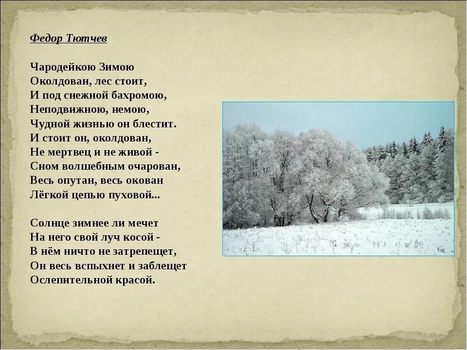 Текст утро в зимнем лесу 5 класс