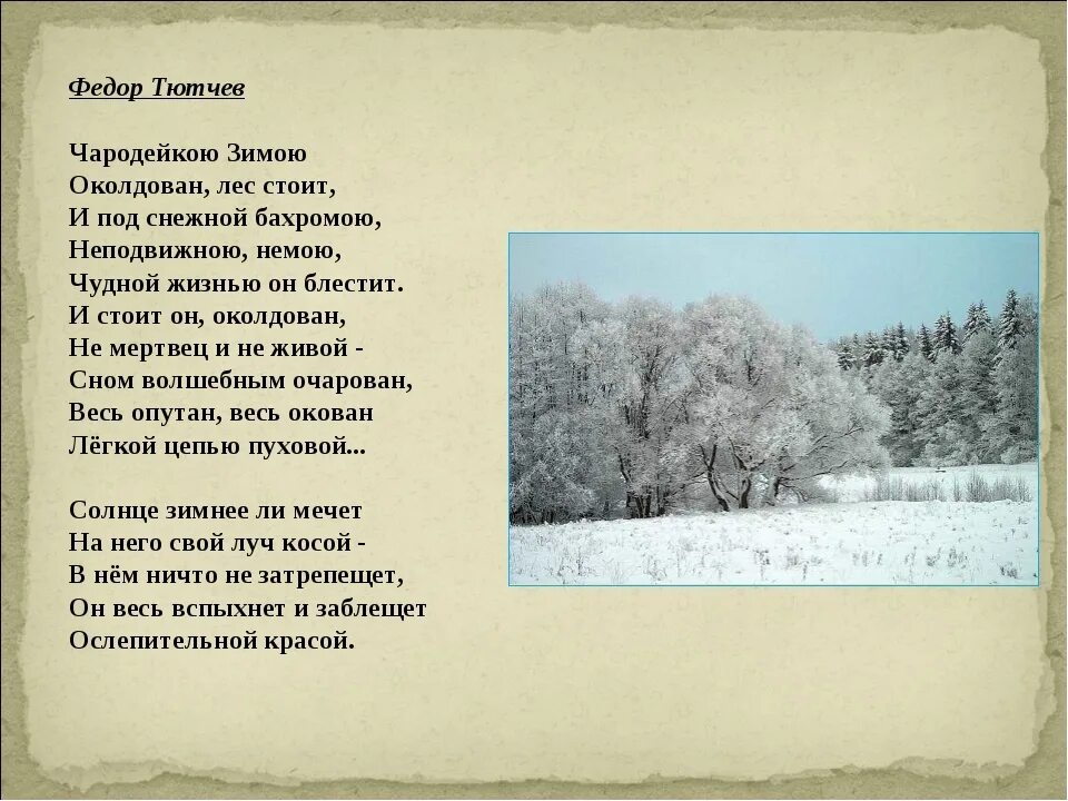 Тютчев лес. Стихи о зиме русских поэтов. Стихотворения о зиме русских поэтов. Стихотворение про зиму поэтов. Стихи российских поэтов про зиму.