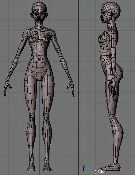 Тело в блендере. Референс для 3д моделирования Blender. Моделирование женского тела. Наброски для 3d моделирования. Тело женщины для моделирования.