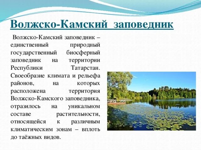 Заповедник Татарстана Волжско Камский заповедник. Музей Волжско-Камского заповедника. Волжско-Камский заповедник Татарстана рассказ. Заповедник Татарстана рассказ. Естественные водные объекты московской области