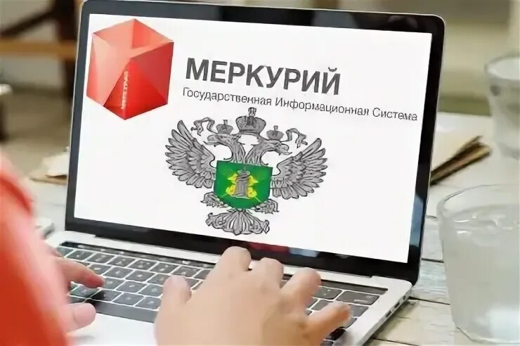 Гис меркурий