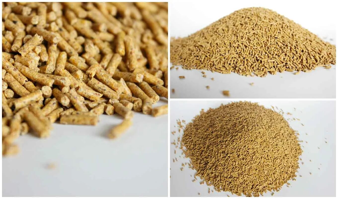 зерновые корма для свиней. корма корабля. корма что это. корм для кошек премиум супер-премиум холистик. корм для собак холистик класса.