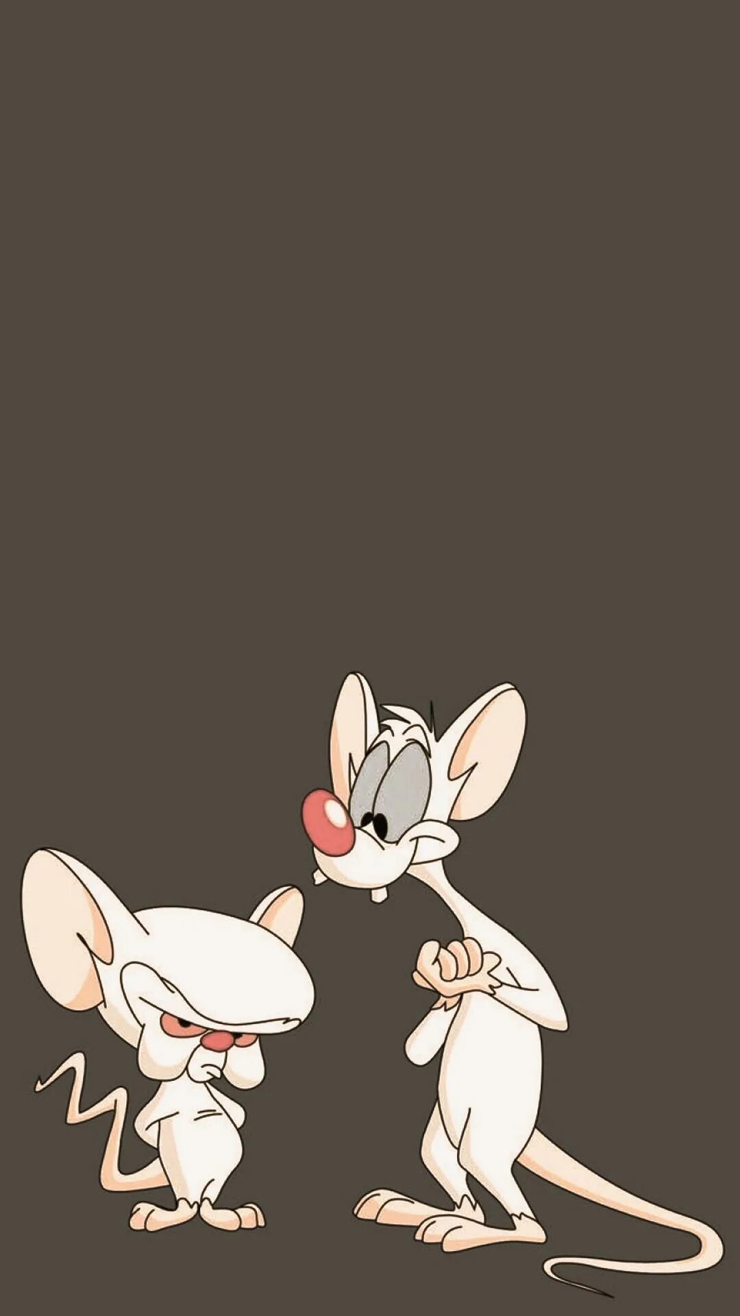 Pinky and brain