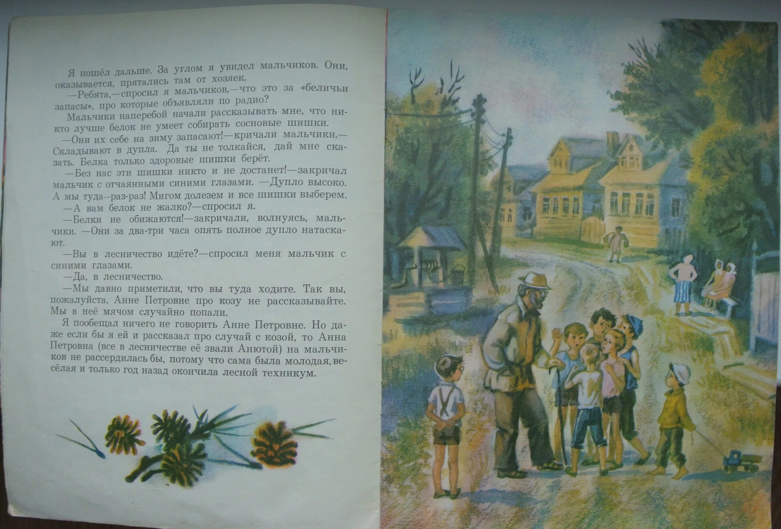 Цветы на паустовского. Заботливый цветок Паустовский. Паустовский заботливый цветок иллюстрации. Рассказ Паустовского заботливый цветок.