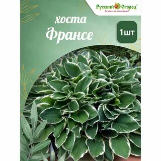 Хост франсе