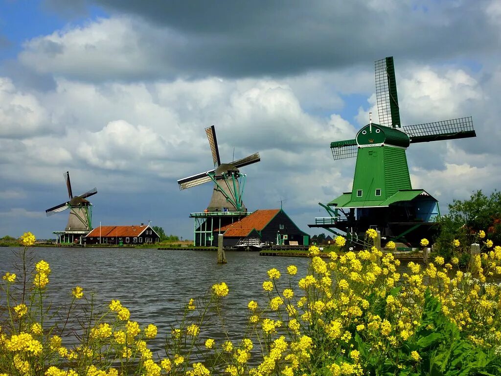 Заансе Сханс. Ветряная мельница Нидерланды. Амстердам Ветряные мельницы. Голландия Голанд.