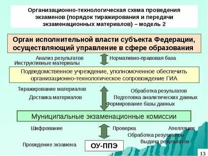 Исполнительные органы в сфере образования