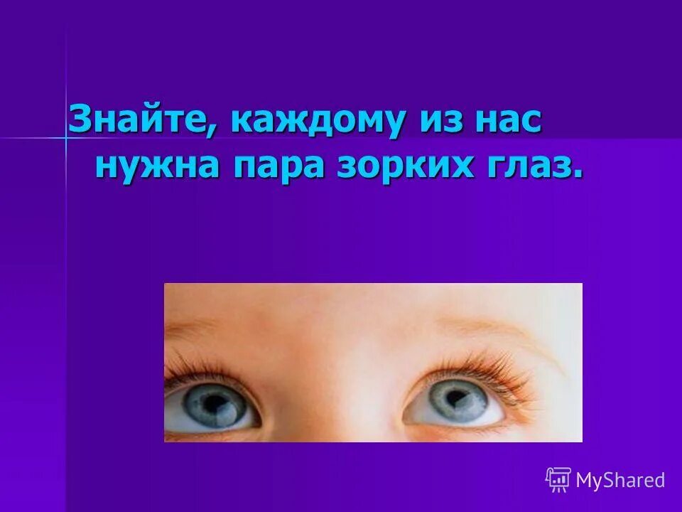 Строение глаза спереди. Глаза глазной глазница это однокоренные слова. Обозначение корня в русском языке. Строение глазницы анатомия. Положение глазных яблок в глазницах криминалистика.