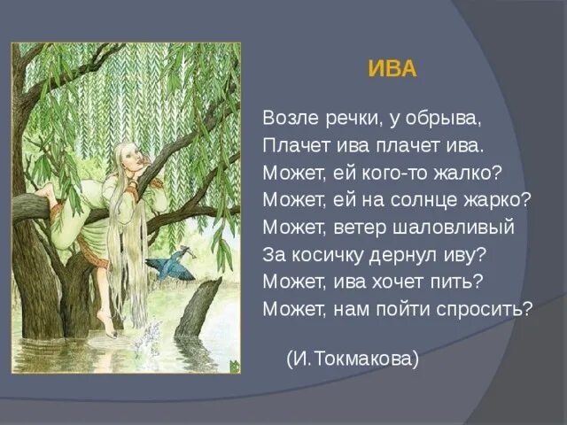 Горько плакала ива горько плакала ива. Текс песни горько плакала ива. Плачет ива текст. Почему ива плачет. Плачет ива текст.