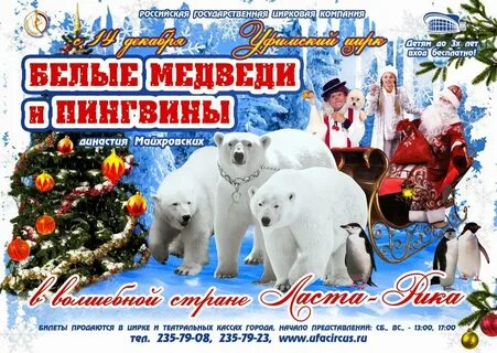 Цирк в уфе в сипайлово