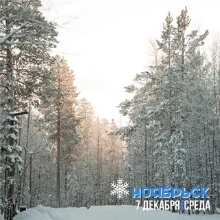 Декабря среда