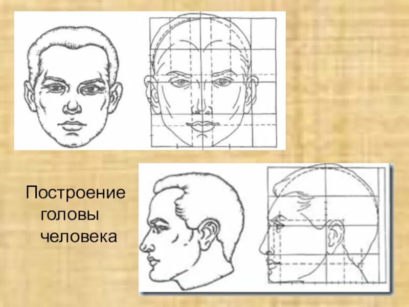 Башка план